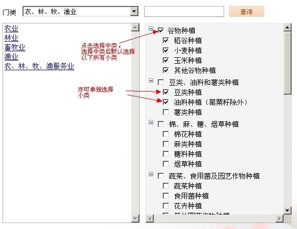 申請人選擇中類或小類